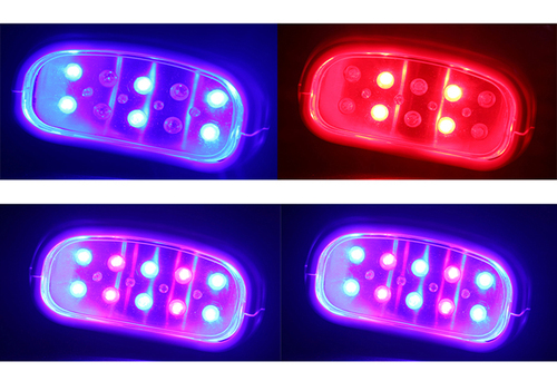3 color tube clamp teeth whitening light (4).jpg